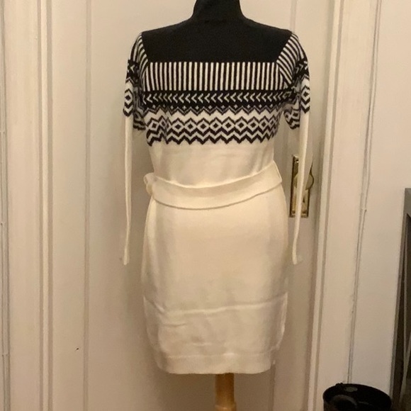 NWT Ann Taylor petite sweater belted dress. - Picture 4 of 5